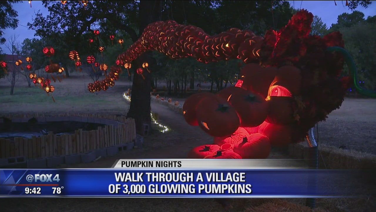 Pumpkin Nights attraction features 3,000 glowing pumpkins