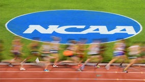 NCAA will permit athletes to be compensated for their names, images, likenesses, Board of Governors says