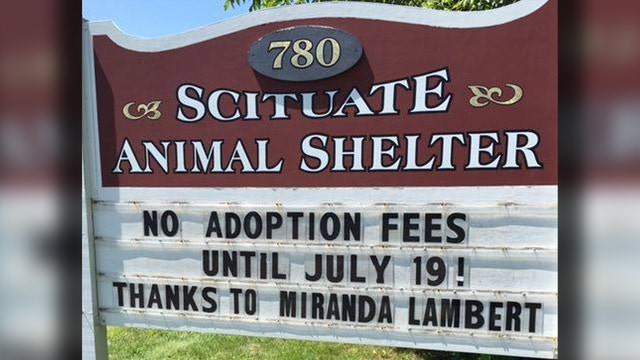 Animal shelter waives adoption fees thanks to grant from singer Miranda Lambert