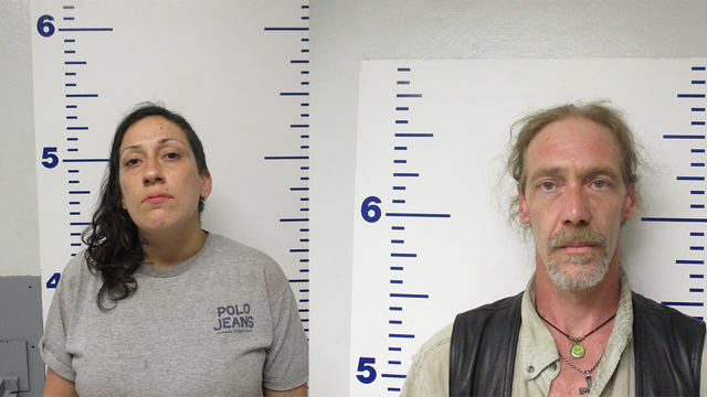 Police find rattlesnake, radioactive uranium, whiskey in car during traffic stop