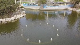 Healing Garden built in Thousand Oaks to honor victims killed in Borderline mass shooting