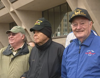 dallas cowboys veterans day hat