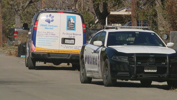 Woman hospitalized after dog attack in Oak Cliff