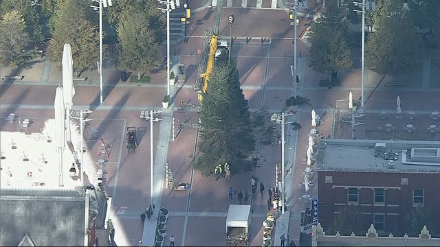 50-foot Christmas tree goes up in Fort Worth's in Sundance Square