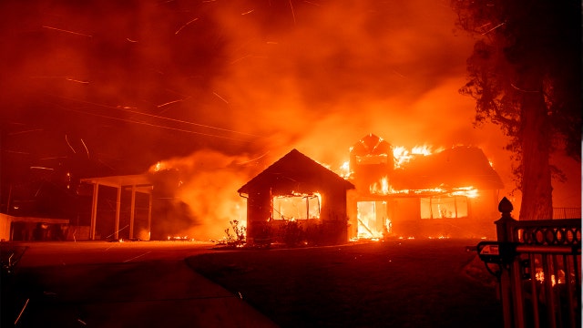 ‘Untold suffering’: 11,000 scientists issue stark warning about effects of climate change