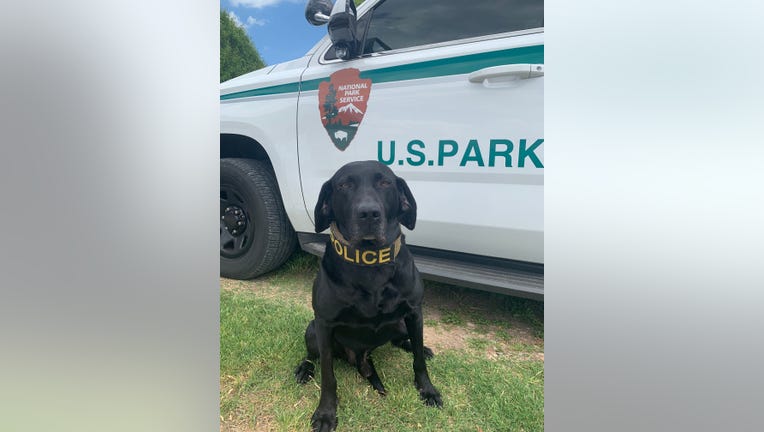 K9 officer retires after 56 'dog years' of service to National Park ...