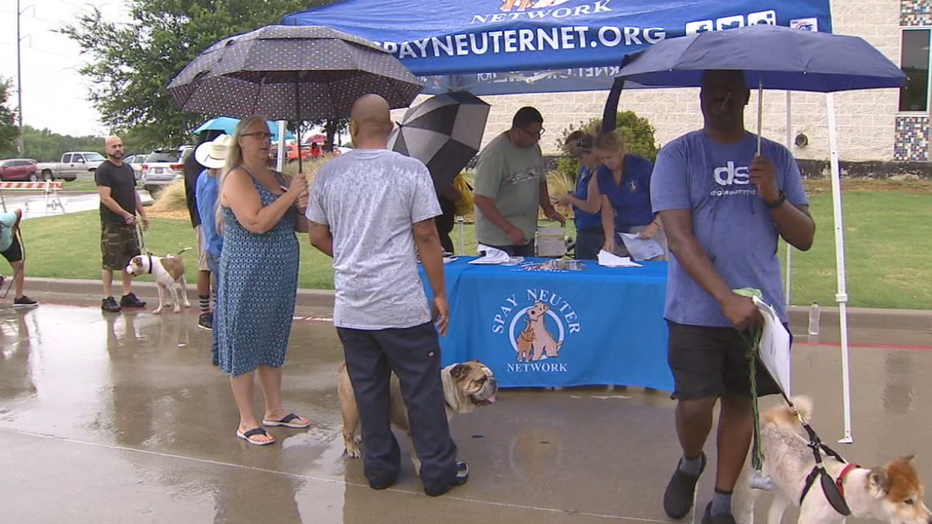 Officials Examine Effectiveness Of Dallas Spay Neuter Effort
