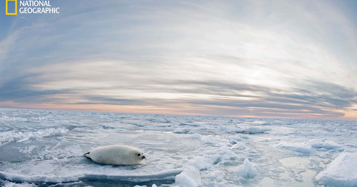 The best travel destinations of 2020, according to NatGeo