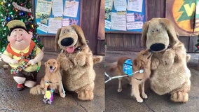 Service dog overjoyed to meet Dug from Disney’s movie ‘Up’ in adorable video