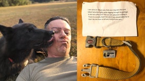 Man finds collar, note on mailbox saying missing dog was shot by neighbor for digging through trash