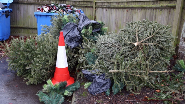 Here's what to do with your live tree now that Christmas is over