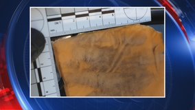 Carrollton police lift fingerprints from cheesy crime scene