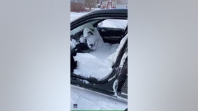 Newfoundland woman learns hard way to remember to roll windows up before a snowstorm