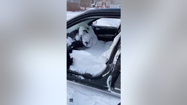 Newfoundland woman learns hard way to remember to roll windows up before a snowstorm