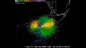 So many migratory birds flew over Key West, they showed up on weather radar