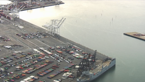 Coronavirus: California governor explains why Port of Oakland chosen as 'best site' for cruise ship docking