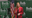 Beth Van Duyne wins Republican primary for US House District 24, while Democratic race appears set for runoff