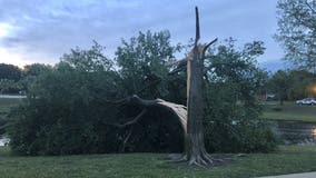 Overnight storms, wind gusts of up to 70 mph lead to tree and fence damage