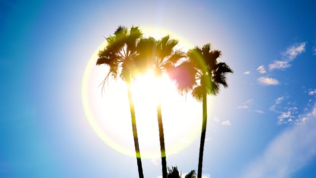 Gloomy summer looms as pandemic cancels US festivals, trips