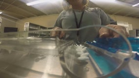 On Your Side: Online pharmacy offers generic medications at wholesale cost