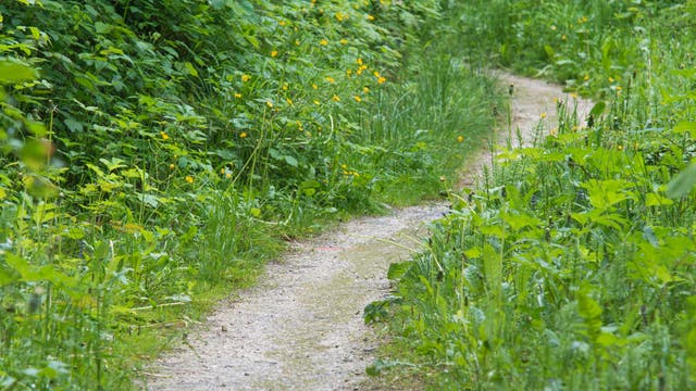 State parks across North Texas booked to capacity for Independence Day weekend