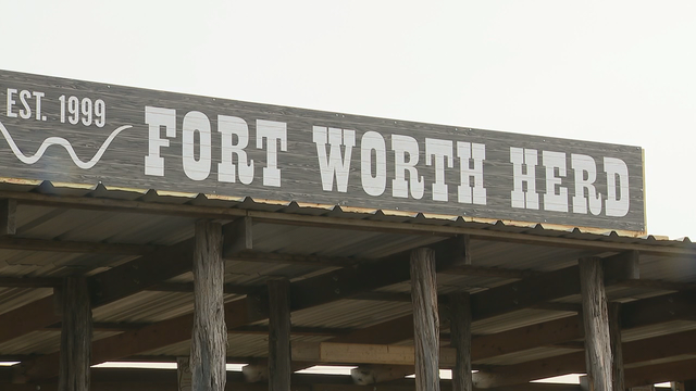 Fort Worth Herd Experience opening with social distancing practices in place
