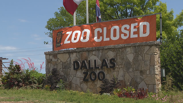 Dallas Zoo, Arboretum would reopen by end of May under proposal