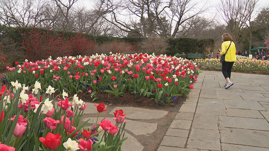 Dallas Arboretum to reopen in limited capacity on June 1