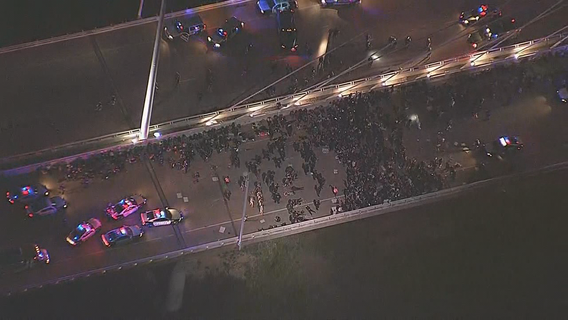 Dallas mayor, city council issue scathing critique of Chief Hall's handling of protests