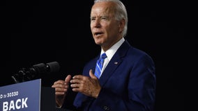 Biden, lawmakers warn of foreign interference in election