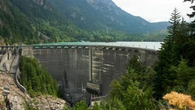 Washington state dams will not be removed to save salmon