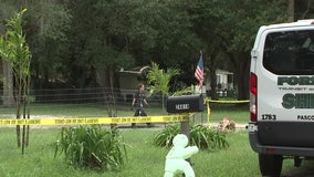 Wesley Chapel homeowner shoots, kills armed robbers; surviving suspect faces murder charges