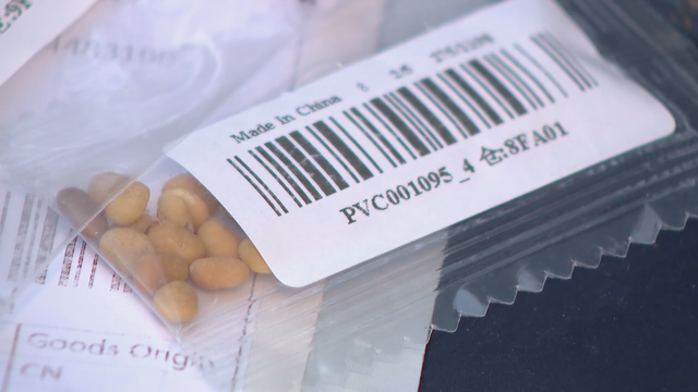 Mysterious seed packets arriving in some North Texas mailboxes