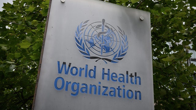 Nearly 240 scientists urge WHO to acknowledge coronavirus can spread in air