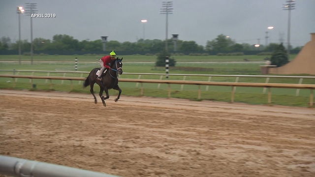 Lone Star Park abruptly suspends all racing