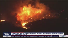 California wildfire started because of pyrotechnics at gender reveal gathering: CalFire