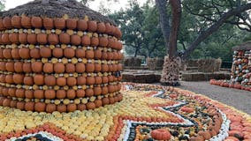 Dallas Arboretum, Big Tex ready to welcome crowds this weekend at limited capacity
