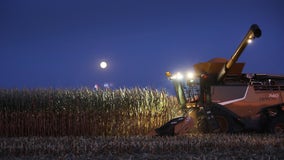 Michigan hunter, 14, killed when run over by corn harvester