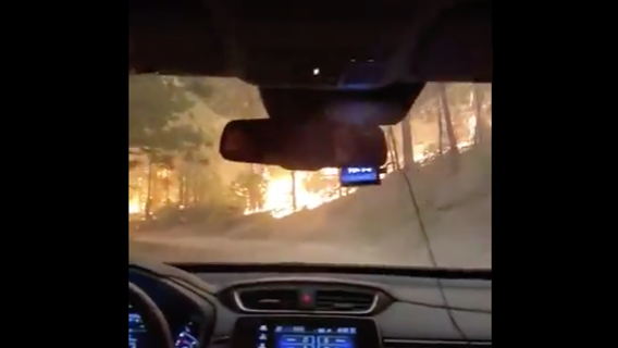 Harrowing video shows woman escaping California wildfire in Sierra National Forest