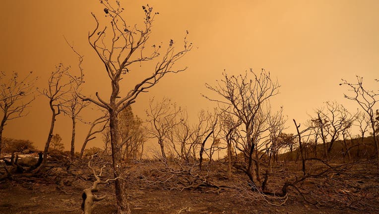 Mendocino-Complex Fire In Northern California Grows To Largest Fire In State's History