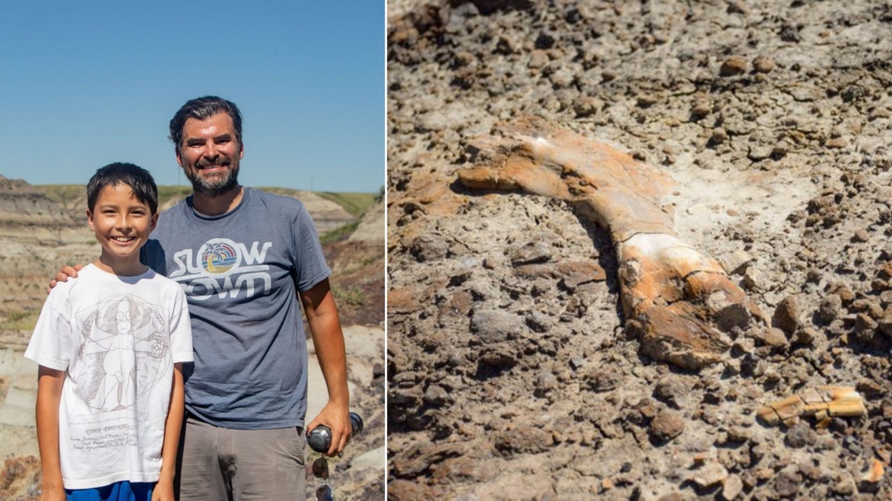 12yearold boy finds 69 millionyearold dinosaur fossil during hike
