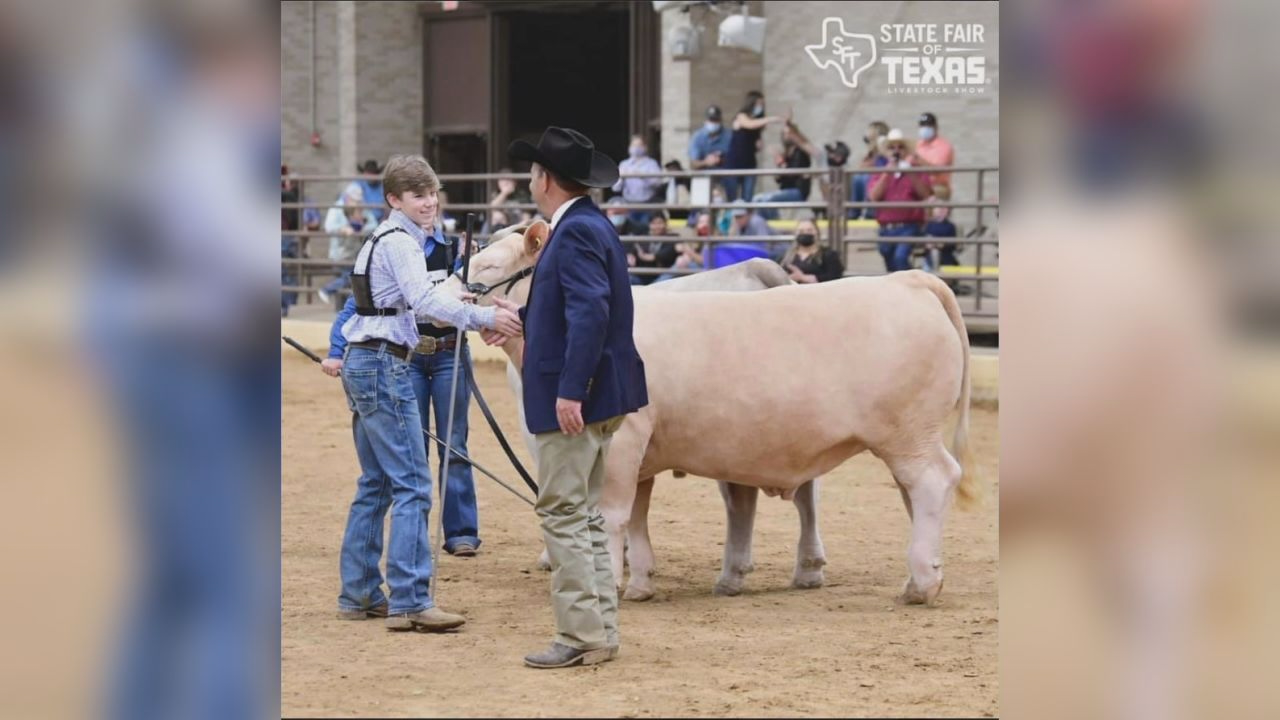 Youth livestock auction happening Friday at State Fair of Texas