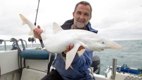 Rare all-white shark found: 'The fish of a lifetime'