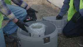 Team of UC Berkeley scientists study poop in sewers for COVID-19 hotspots