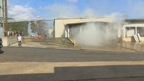 No Greenberg Smoked Turkeys this year after fire at East Texas facility