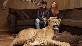 Netflix's 'Tiger King' star Jeff Lowe accused of inhumane treatment, improper handling of animals