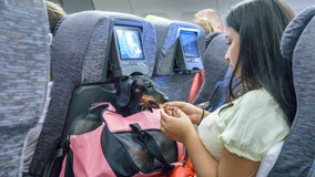 No more emotional support animals on planes after DOT closes major loophole