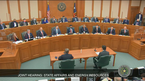 CEO tells Texas lawmakers ERCOT did not respond to warning signs with 'enough urgency'