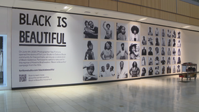 Art exhibit at Galleria Dallas celebrates Black beauty