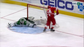 Fabbri scores, Bernier hurt in Red Wings' 3-2 win over Stars